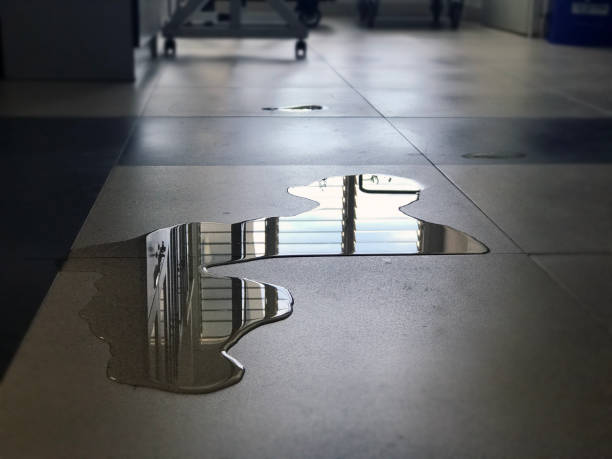 Best Local water damage restoration  in Vcennes, IN