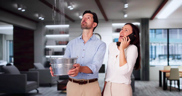 Best Carpet water damage restoration  in Vcennes, IN